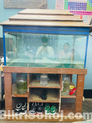 Fish aquarium for sale